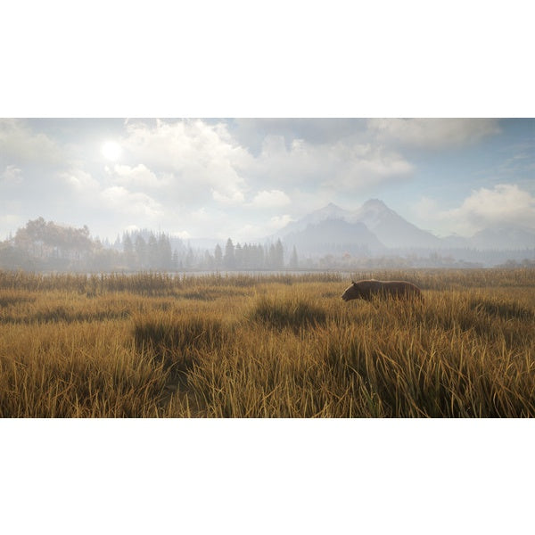 the Hunter: Call of the Wild STEAM | FULL GAME |  LIFETIME GUARANTEE 24 Hour Auto Delivery