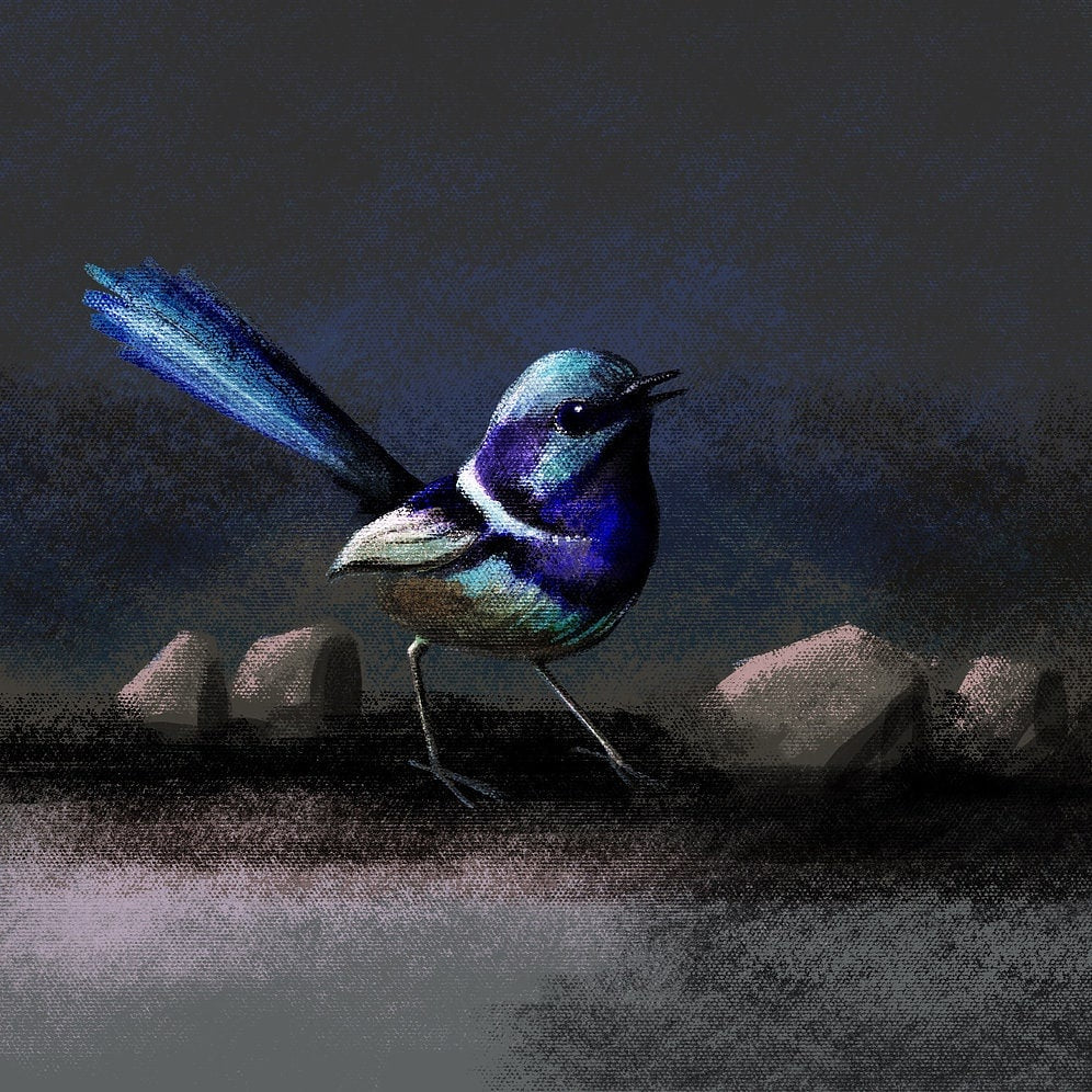 ProcreateHeavy_Canvas  - Procreate Brushes