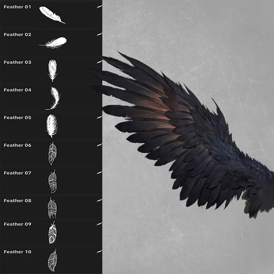 ProcreateFeather_Brushes  - Procreate Brushes