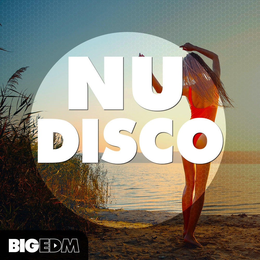 Big EDM Nu Disco  ProducerLoops *Sample Pack* (Win/Mac)