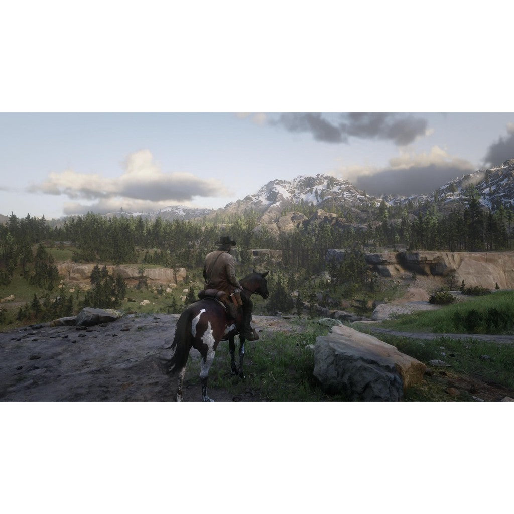 STEAM Red Dead Redemption 2 RDR 2 |FULL GAME| LIFETIME GUARANTEE 24 Hour Auto Delivery