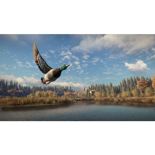 the Hunter: Call of the Wild STEAM | FULL GAME |  LIFETIME GUARANTEE 24 Hour Auto Delivery