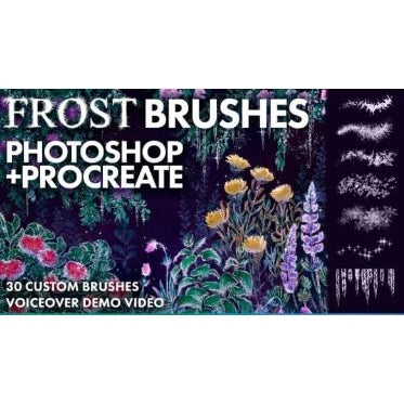 Procreate and Photoshop Winter_Frost- Brushes