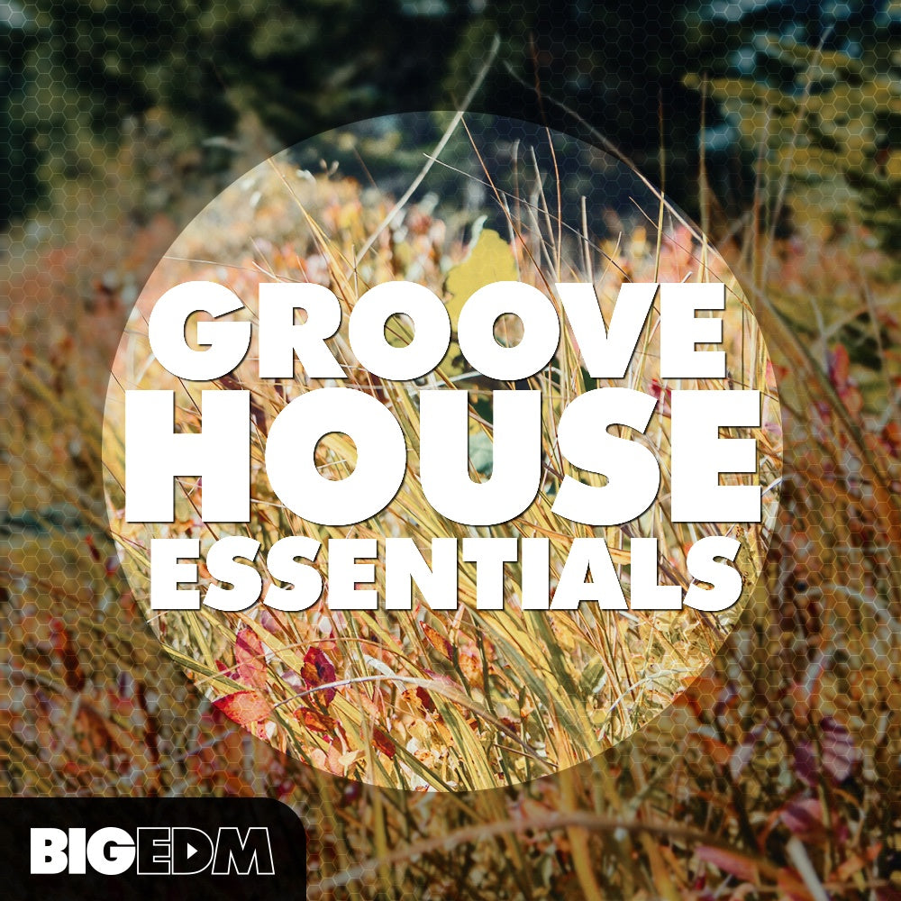 Big EDM Groove House Essentials  ProducerLoops *Sample Pack* (Win/Mac)