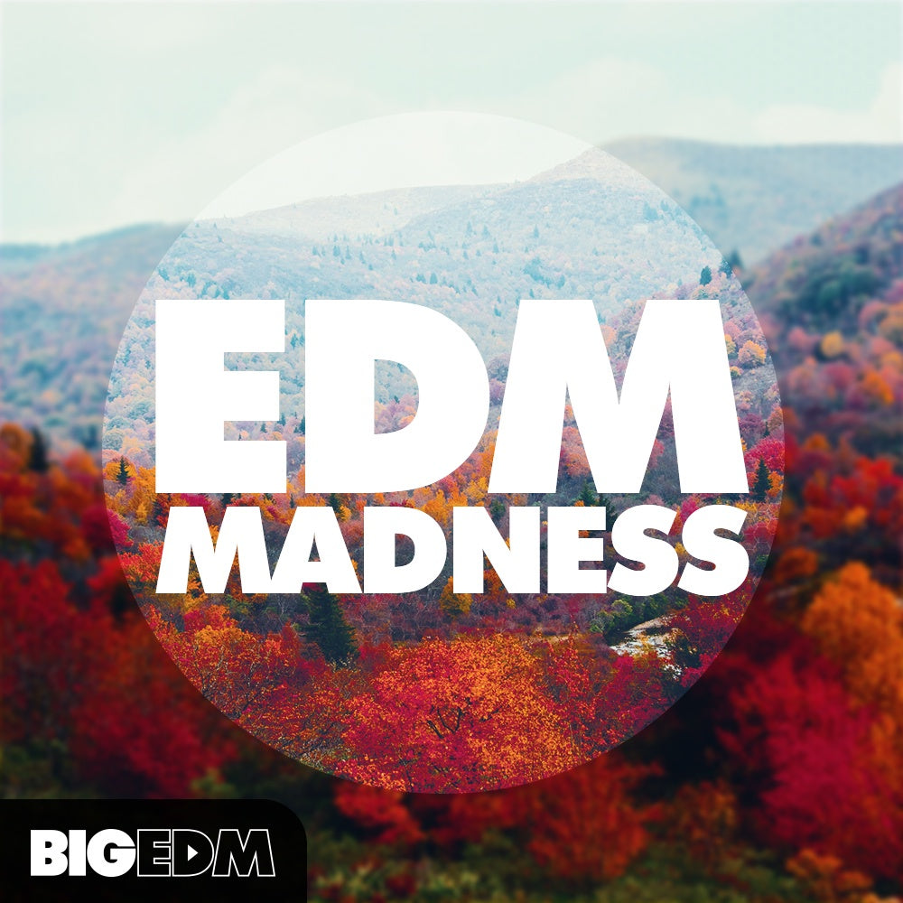 Big EDM EDM Madness  ProducerLoops *Sample Pack* (Win/Mac)