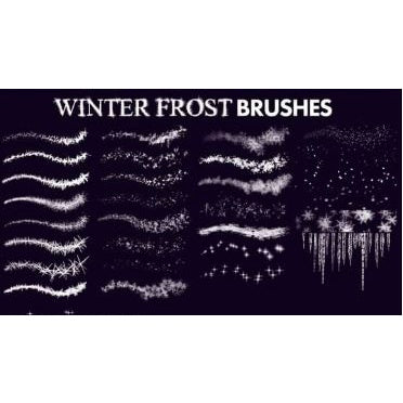 Procreate and Photoshop Winter_Frost- Brushes