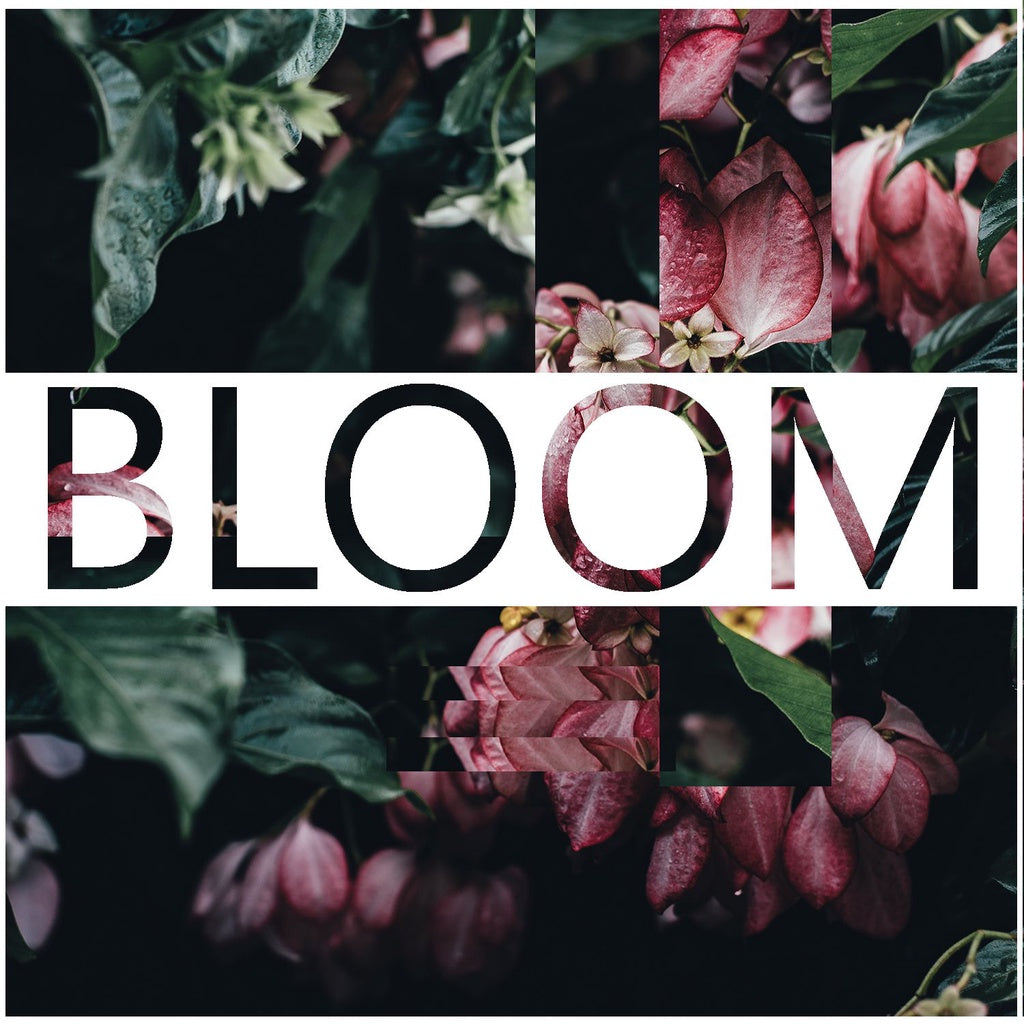 Bloom  LootAudio (Win/Mac) *Kontakt Library*