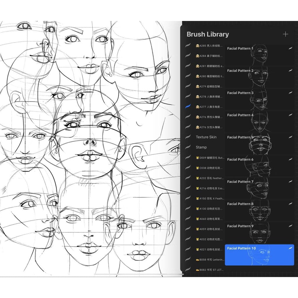 ProcreateAHL108/23【人体和人体局部辅助线】Human body and human body partial auxiliary line