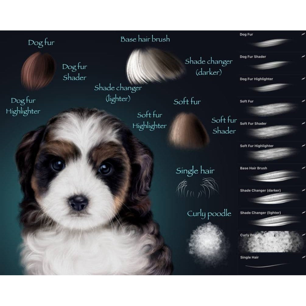 Procreate Taty_Fur_&_Hair- Procreate Brushes