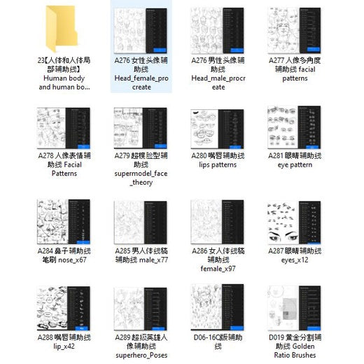 ProcreateAHL108/23【人体和人体局部辅助线】Human body and human body partial auxiliary line