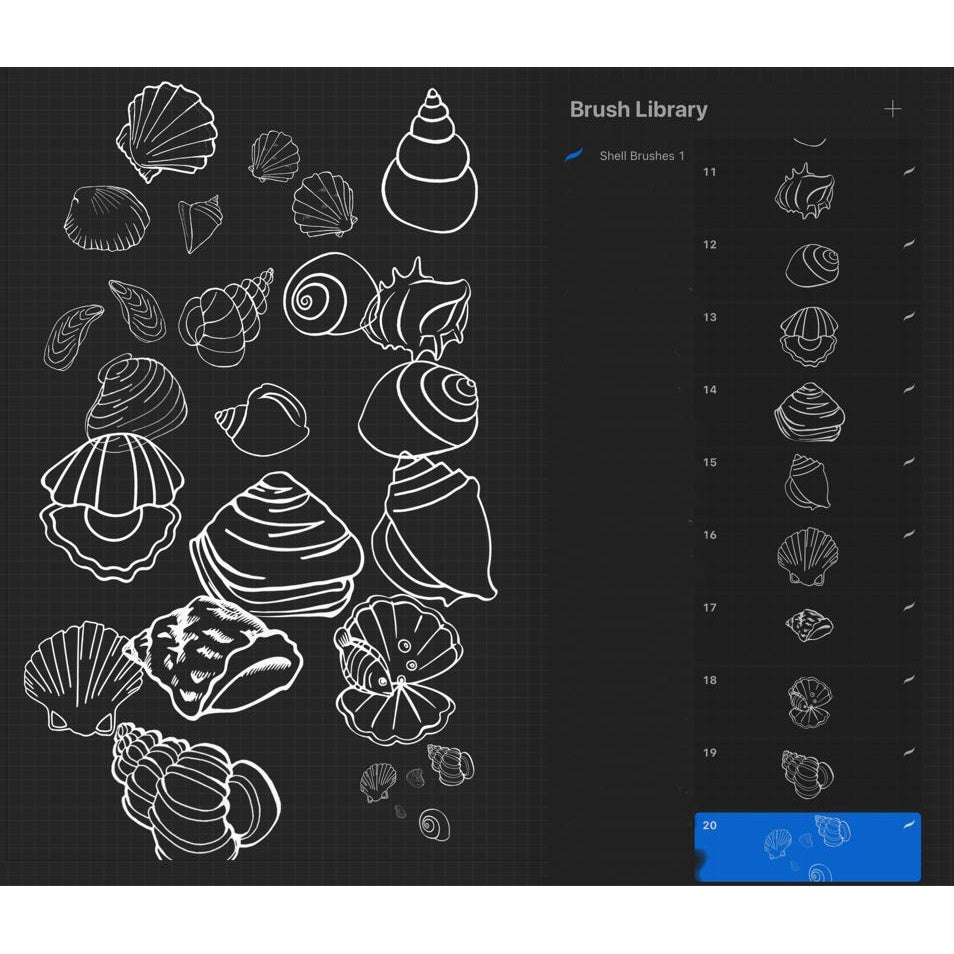 ProcreateShell_Brushes_1 - Procreate Brushes
