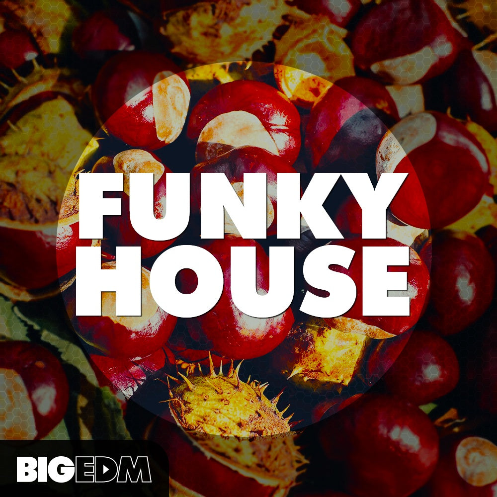 Big EDM Funky House  ProducerLoops *Sample Pack* (Win/Mac)