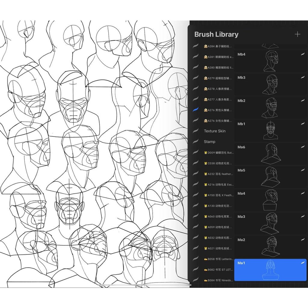 ProcreateAHL108/23【人体和人体局部辅助线】Human body and human body partial auxiliary line