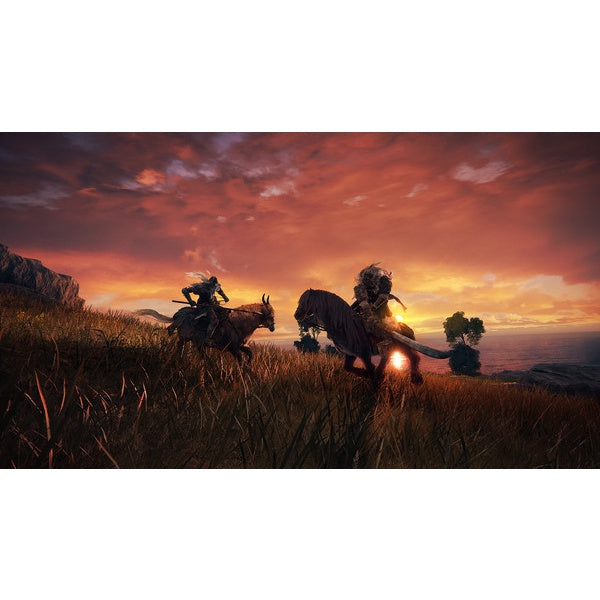 ELDEN RING Shadow of the Erdtree Deluxe Edition STEAM | FULL GAME | LIFETIME GUARANTEE 24 Hour