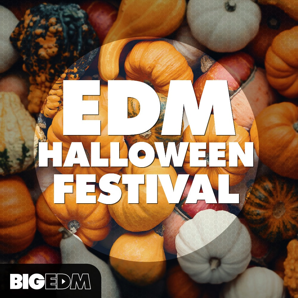 Big EDM EDM Halloween Festival  ProducerLoops *Sample Pack* (Win/Mac)