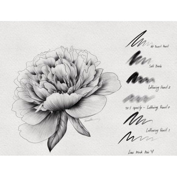 Procreate Favorit_Pencil_.brushset- Procreate Brushes