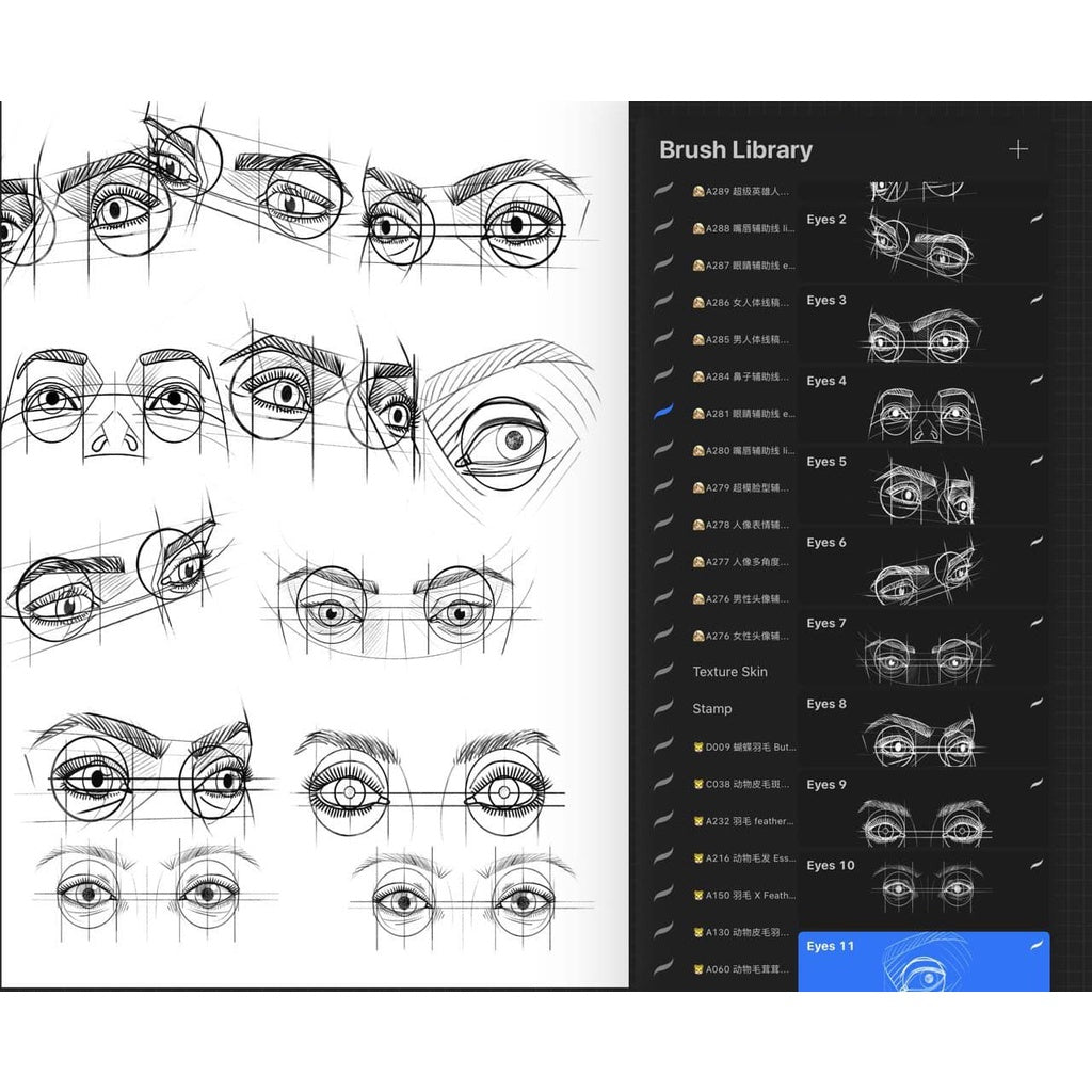 ProcreateAHL108/23【人体和人体局部辅助线】Human body and human body partial auxiliary line