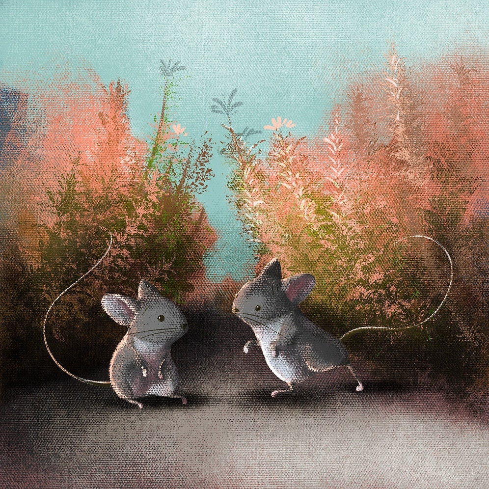 ProcreateHeavy_Canvas  - Procreate Brushes