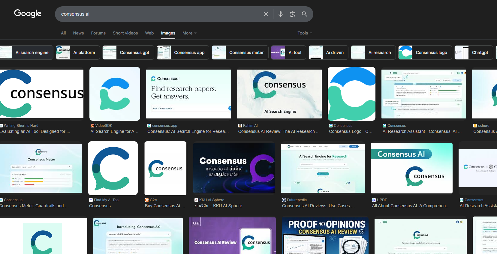 Consensus AI members enjoy exclusive one-year top-up service with unlimited usage and stable upgrades/subscriptions.