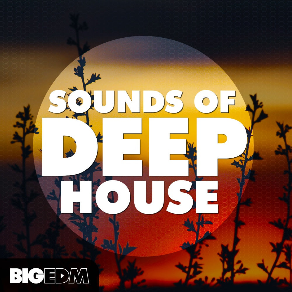 Big EDM Sounds Of Deep House  ProducerLoops *Sample Pack* (Win/Mac)