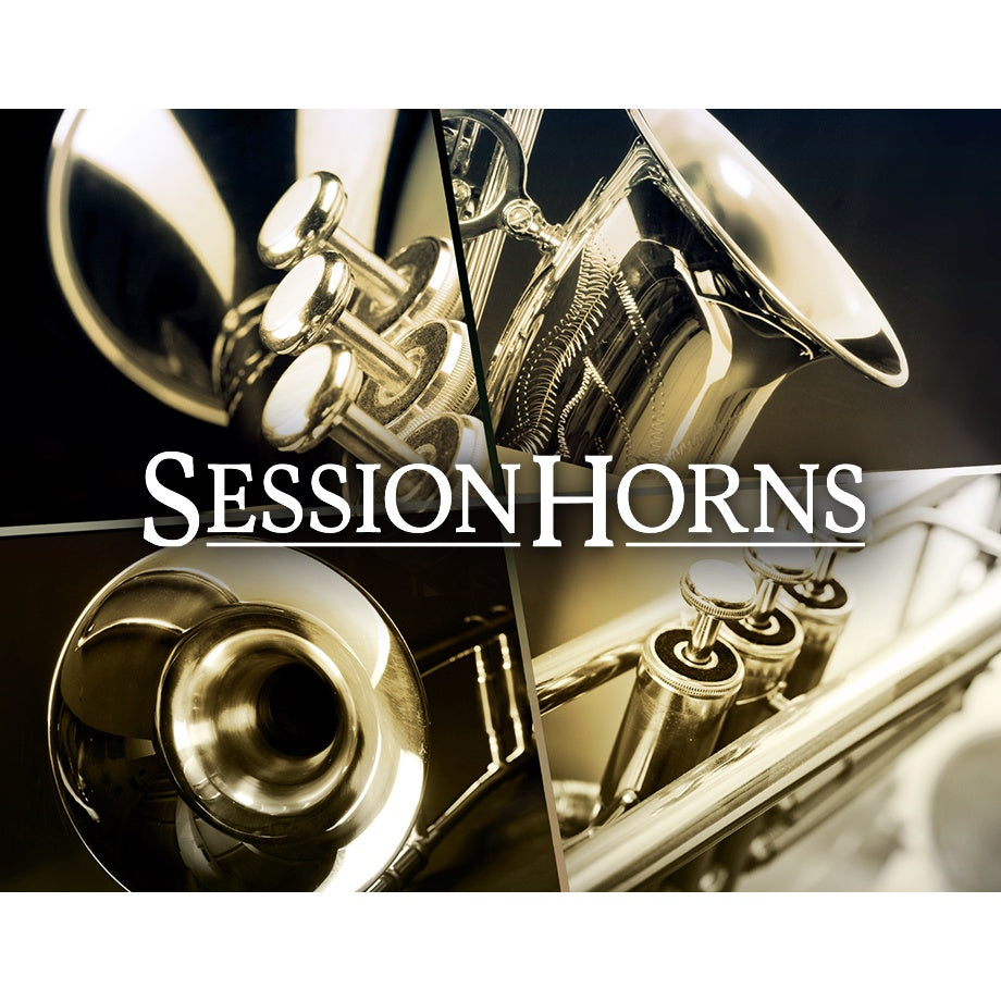 Session Horn  Native Instruments (Win/Mac) *Kontakt Library*