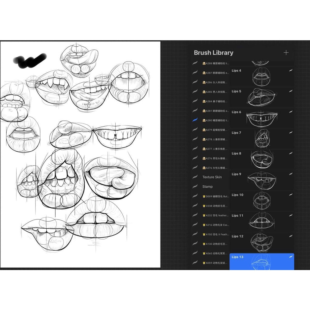 ProcreateAHL108/23【人体和人体局部辅助线】Human body and human body partial auxiliary line