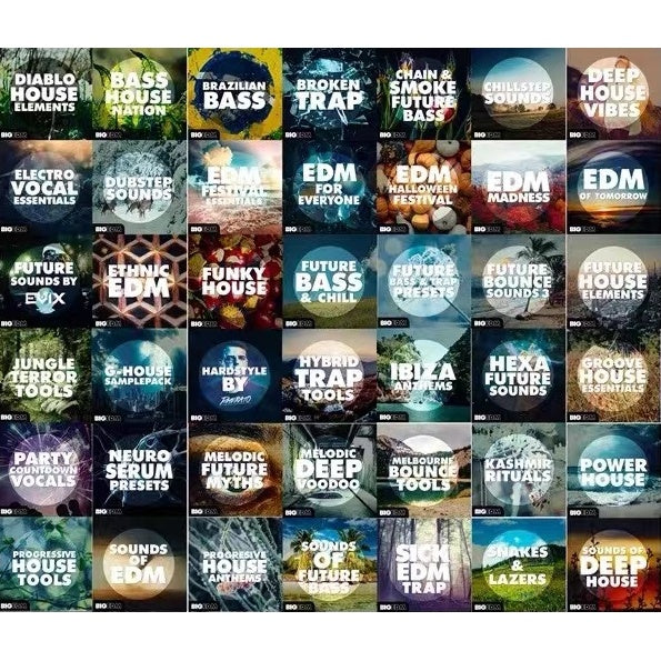 Big EDM Total Collection  ProducerLoops *Sample Pack* (Win/Mac)