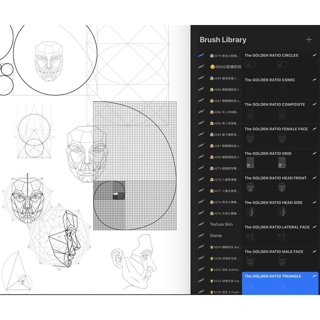 ProcreateAHL108/23【人体和人体局部辅助线】Human body and human body partial auxiliary line