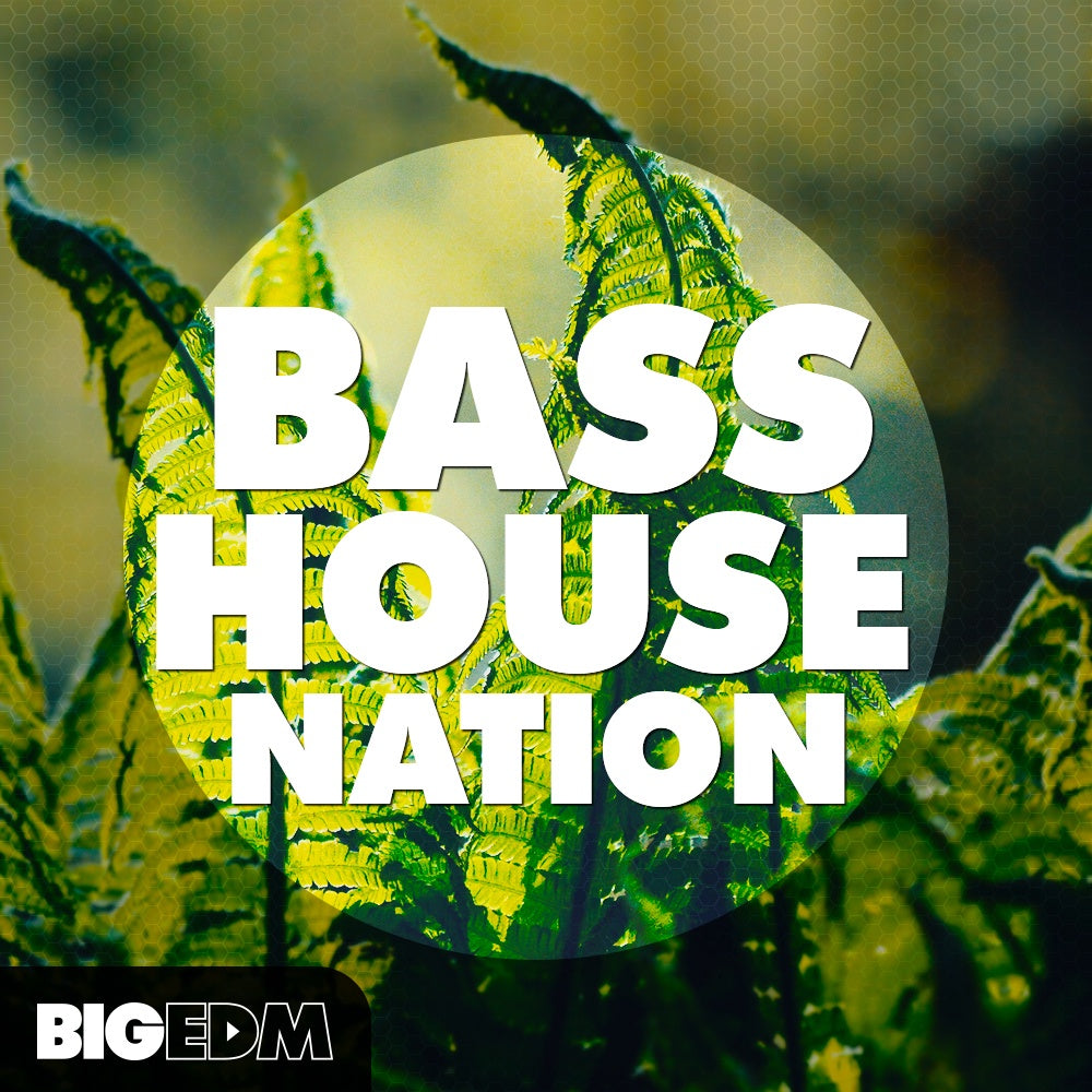 Big EDM Bass House Nation  ProducerLoops *Sample Pack* (Win/Mac)