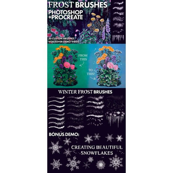 Procreate and Photoshop Winter_Frost- Brushes
