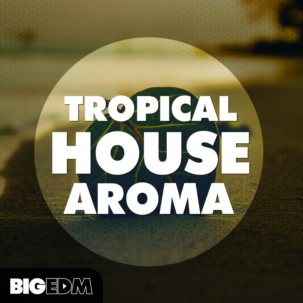 Big Edm Tropical House Aroma  ProducerLoops *Sample Pack* (Win/Mac)