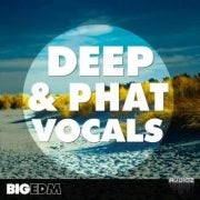 Big EDM Deep and Phat Vocals  ProducerLoops *Sample Pack* (Win/Mac)