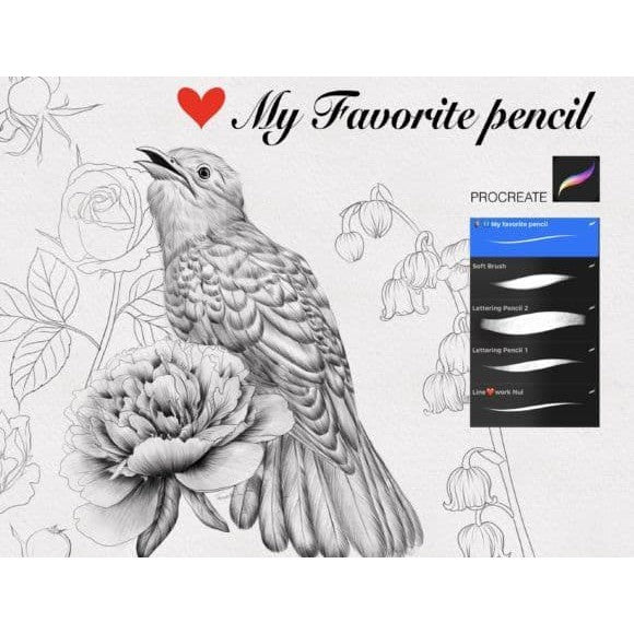 Procreate Favorit_Pencil_.brushset- Procreate Brushes