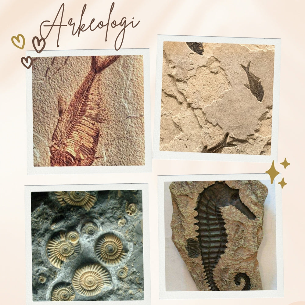 1000++(4K) Video Footage TEMA ARKEOLOGI - BAHAN YOUTUBE - Video Untuk Konten Kreator