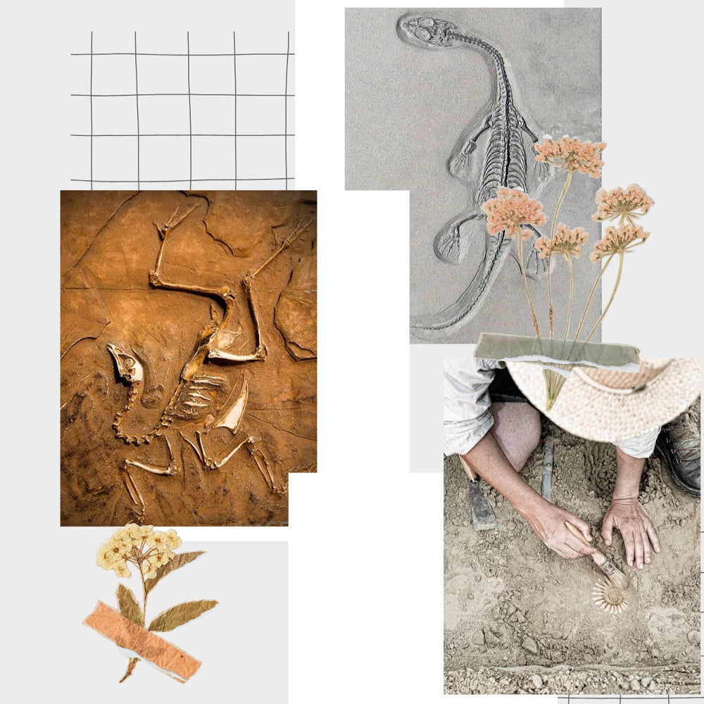 1000++(4K) Video Footage TEMA ARKEOLOGI - BAHAN YOUTUBE - Video Untuk Konten Kreator