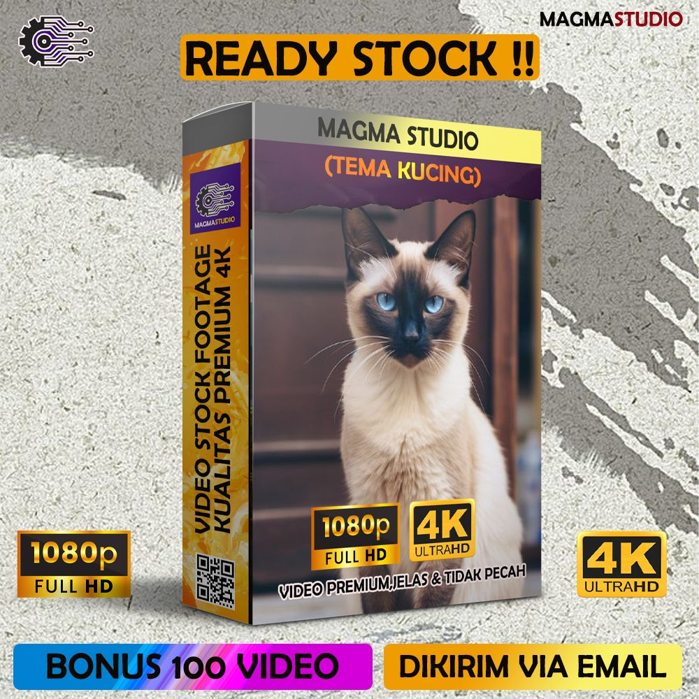 1000++ (4K) Video Stock Footage KUCING- BAHAN YOUTUBE - Video Untuk Konten Kreator