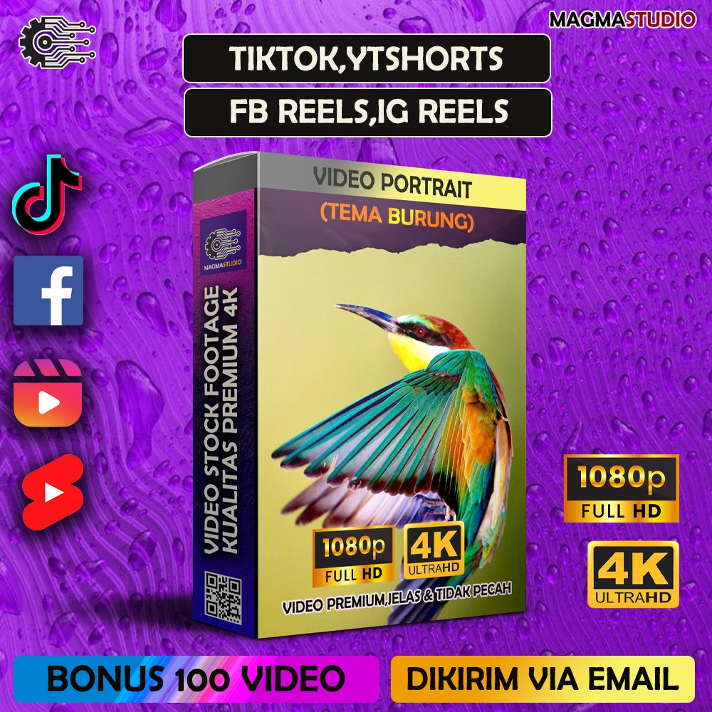 1000++(4K) Footage Portrait BURUNG - BAHAN YOUTUBE-Tikt0k