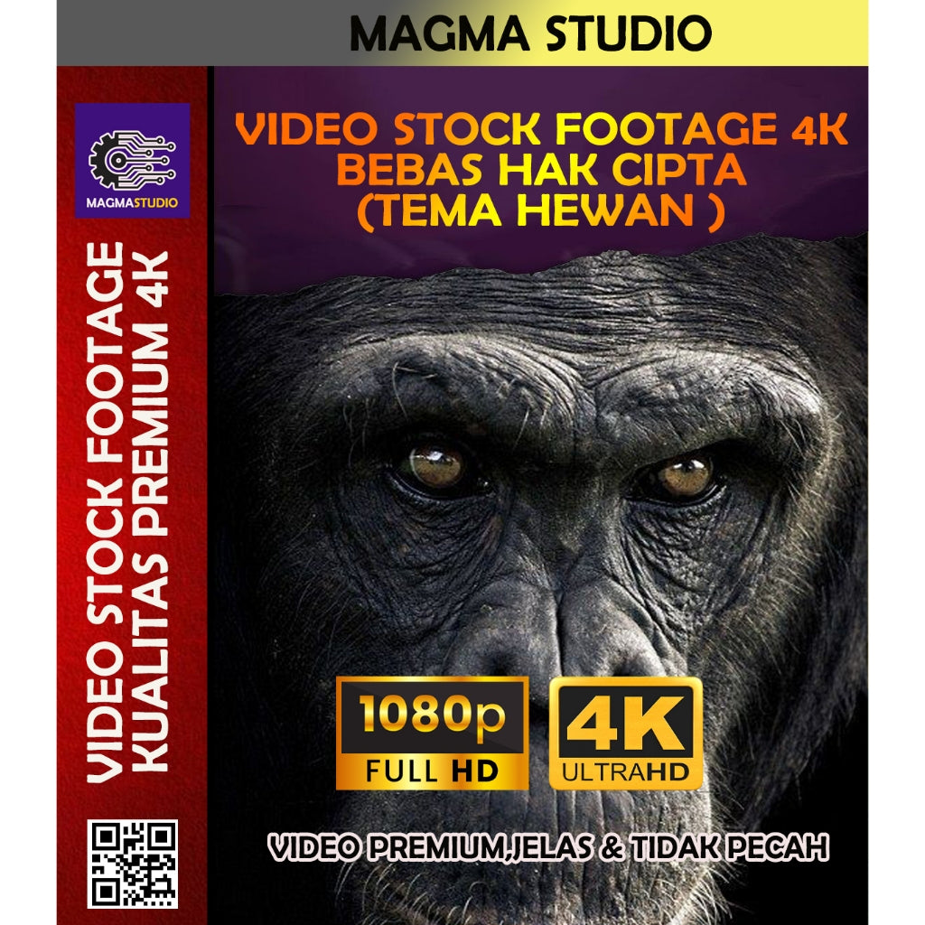 2000++(4K) Video Stock Footage BERBAGAI HEWAN - Video Stock Footage ULTRA HD