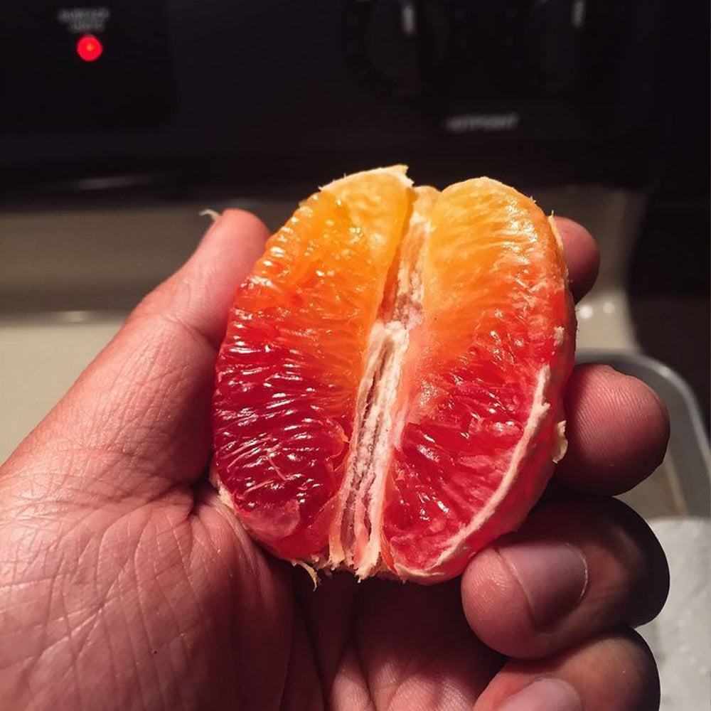 Paket 5.000++ VIDEO KONTEN ASMR,SATISFYING VIDEO (SLIME,WARNA,BUAH DLL) - Video Viral Siap Upload