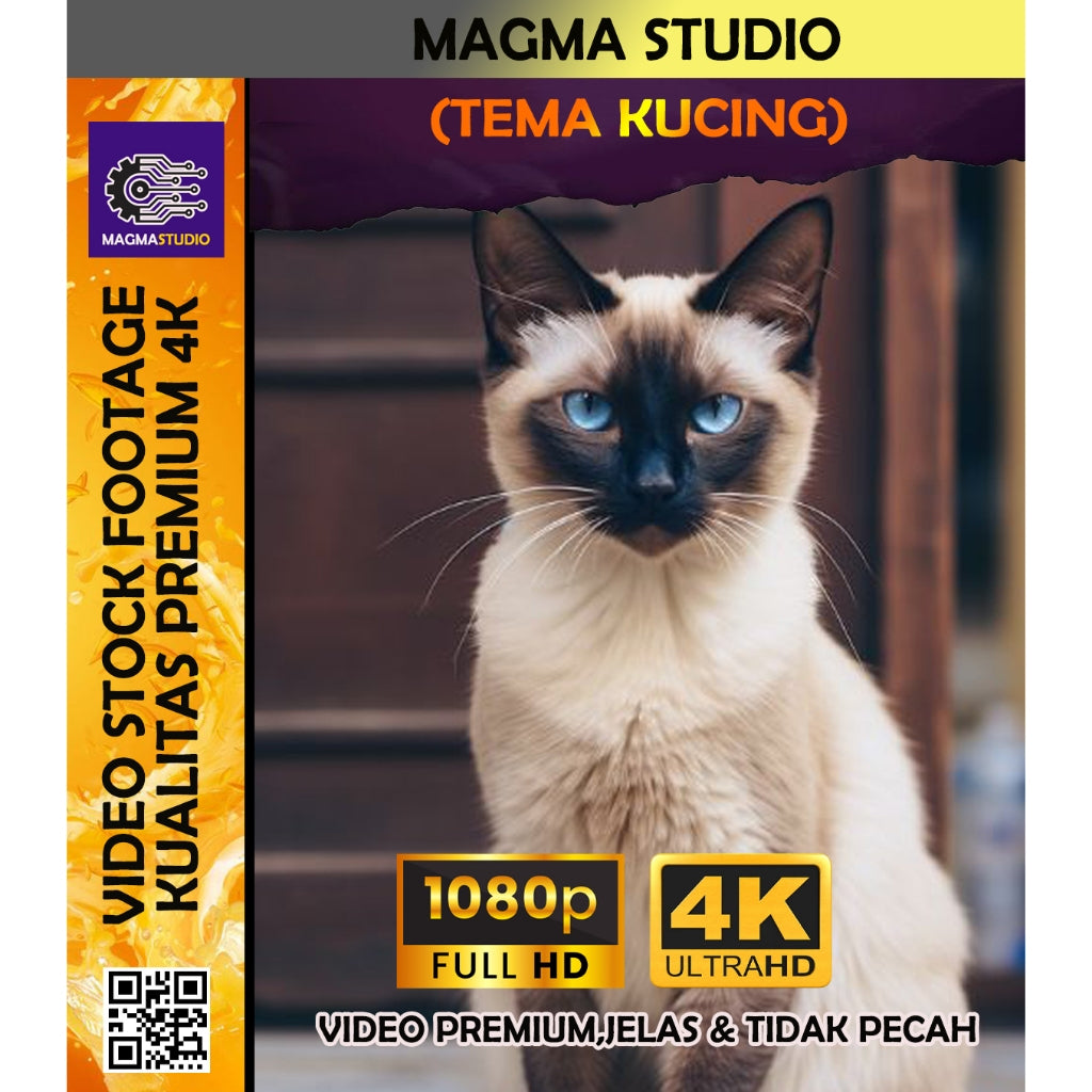 1000++ (4K) Video Stock Footage KUCING- BAHAN YOUTUBE - Video Untuk Konten Kreator