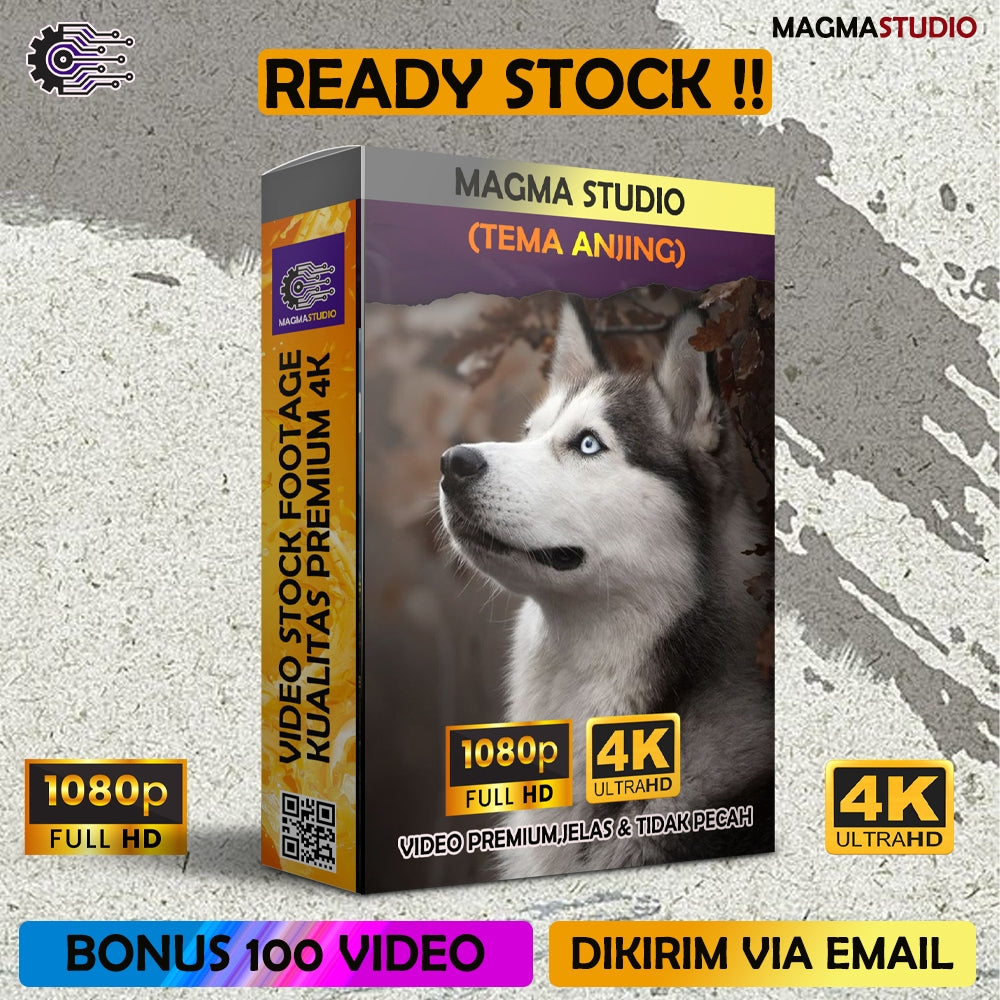 1000++(4K) Video Footage TEMA ANJING- BAHAN YOUTUBE - Video Untuk Konten Kreator