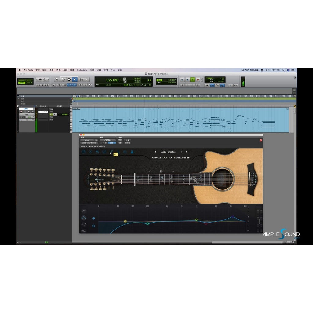 Ample Guitar Twelve III FuII Version for MAC / WIN