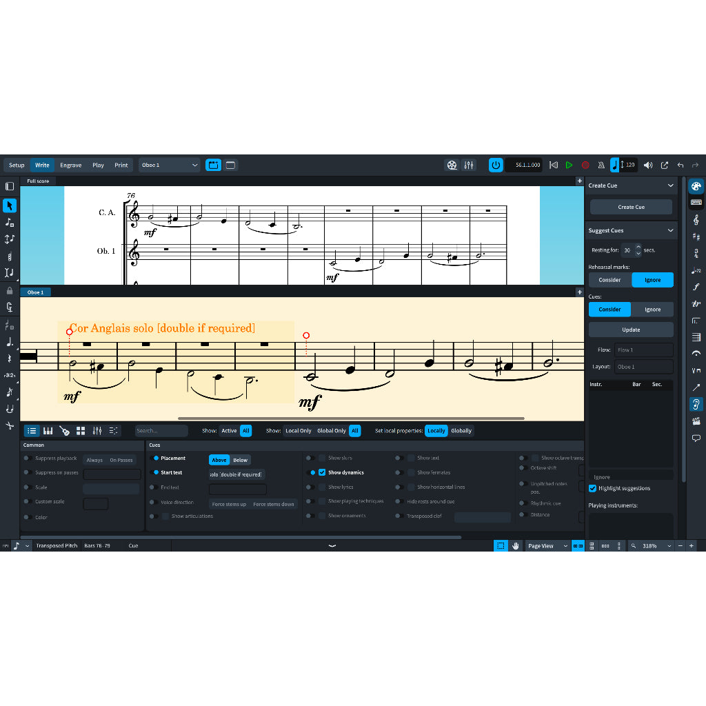 Dorico Pro MAC/WIN FuII Version