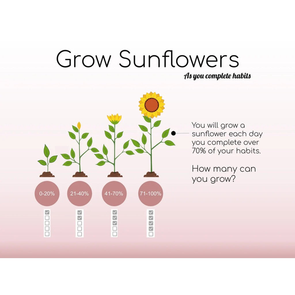 (ADL - 67) Habit Tracker Spreadsheet | Planner Google Sheets Daily Weekly Monthly Goal Tracker