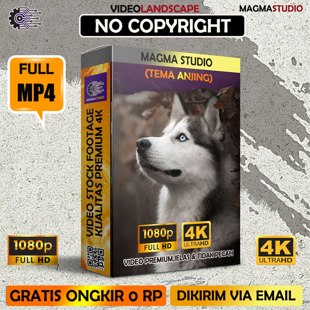 1000++(4K) Video Footage TEMA ANJING- BAHAN YOUTUBE - Video Untuk Konten Kreator
