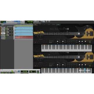 Ample Bass Yinyang III for MAC / WIN