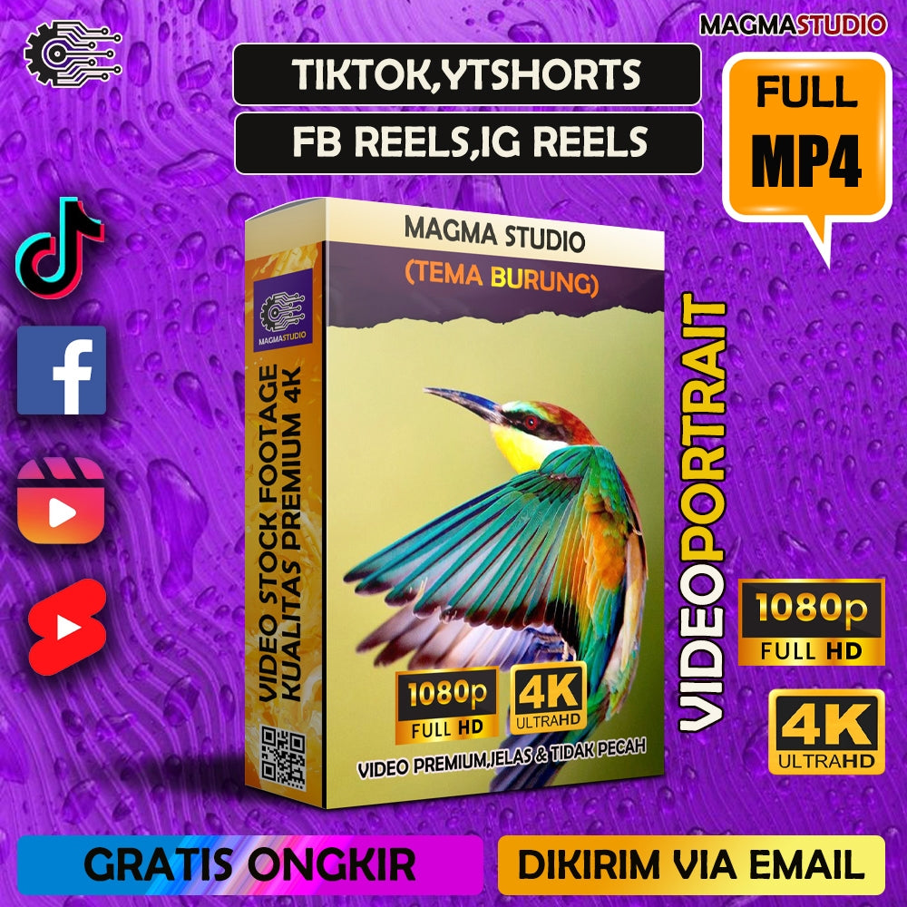 1000++(4K) Footage Portrait BURUNG - BAHAN YOUTUBE-Tikt0k