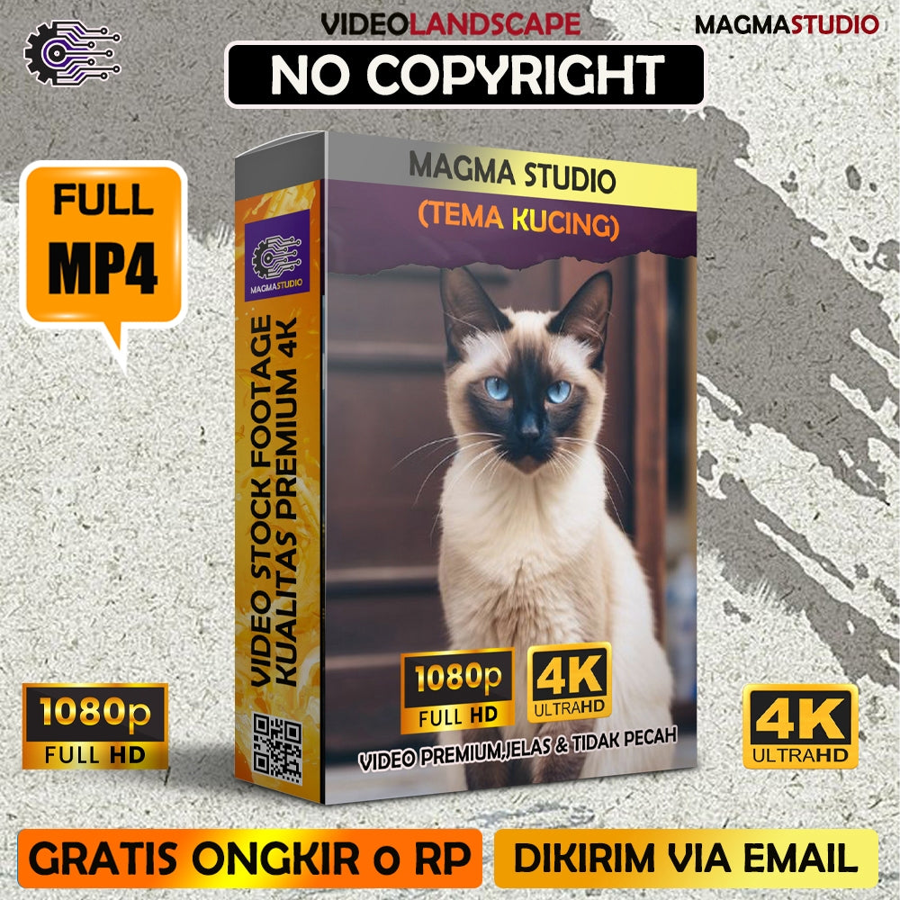 1000++ (4K) Video Stock Footage KUCING- BAHAN YOUTUBE - Video Untuk Konten Kreator