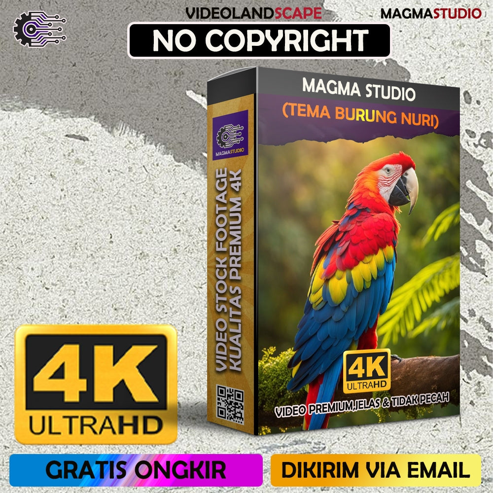(FULL 4K) 200 Video Stock Footage 4k BURUNG NURI- Video Untuk Para Konten Kreator Video