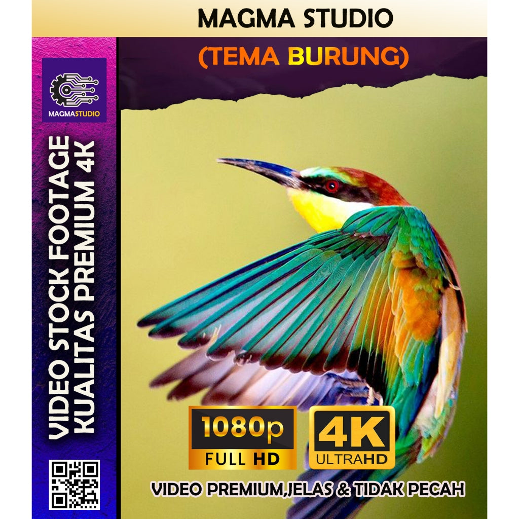1000++(4K) Footage Portrait BURUNG - BAHAN YOUTUBE-Tikt0k